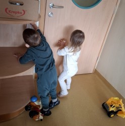 Čistilna akcija