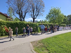 Zeleni Jure