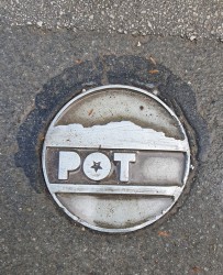 Pot ob žici, ki nas je tokrat popeljala tudi v gozd