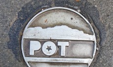 Pot ob žici, ki nas je tokrat popeljala tudi v gozd