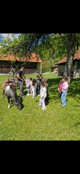 Sončki in Mucki na kmetiji