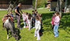 Sončki in Mucki na kmetiji