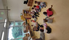 Plesno dopoldne pri Polžkih