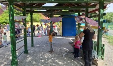 Koseški dežniki in klobuki