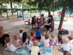 Dopoldne pod krošnjami