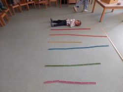 Matematika pri Miškah