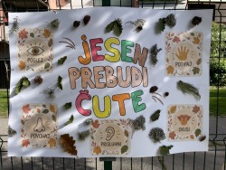 Jesen prebudi čute