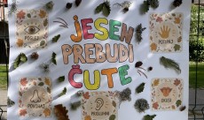 Jesen prebudi čute